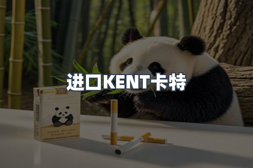 进口KENT卡特